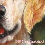 Pets/Animals portrait - 99% completed