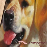 Pets/Animals portraits - 75% completed