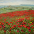 Oil painting from photograph #127 Flower Fields