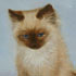 Photo oil portrait 79 cat