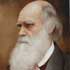 Portrait from oil photo samples #99 Charles Darwin (1809-1882), Author of the Origin of Species
