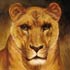 Oil painting reproductions #114 Head of Lioness by (Marie-Rosalie) Rosa Bonheur(1822-1899) and reproduced by PaintingsPal painter ZLB