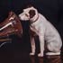 Oil paintings #124 His Master's Voice by Francis Barraud