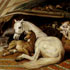 Oil painting reproductions #18 Arab Tent by Edwin Henry Landseer and reproduced by PaintingsPal artist R Gao