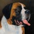 Pet portrait from photograph sample #145 Switzerland's Famous Saint Bernards