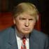 Custom portrait - Donald trump