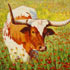 Pet portrait from photograph sample #80 Cow