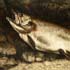 Oil painting reproductions #111 The trout, 1873 by Gustave Courbet and reproduced by PaintingsPal painter ZLB