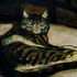 Oil painting reproductions #113 Chat sur un fauteuil by Theophile Alexandre Steinlen and reproduced by PaintingsPal painter LB Zhu