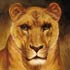Oil painting reproductions #114 head of Lioness by (Marie-Rosalie) Rosa Bonheur(1822-1899) and reproduced by PaintingsPal painter ZLB