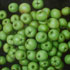 Oil painting reproduction #20 Green Apples