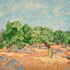 Oil painting reproduction #23 Olive Orchard 1889 Van Gogh