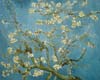 Stock oil paintings #236a Almond Blossom(a version of Van Gogh museum The Netherlands) by Van Gogh and reproduced by PaintingsPal painter XD Wen